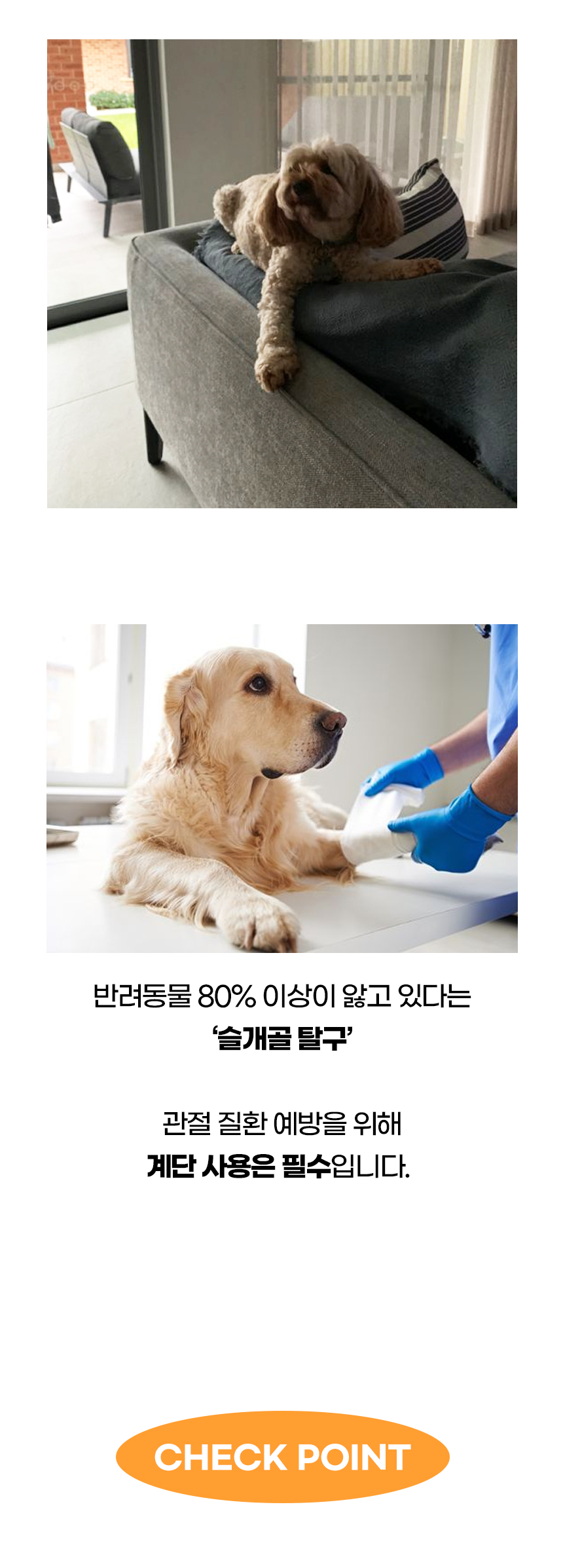 [NEW신상][무료배송] 개과천선 독 Z웨입 펫스텝 계단 (아이보리/그레이) 3번째