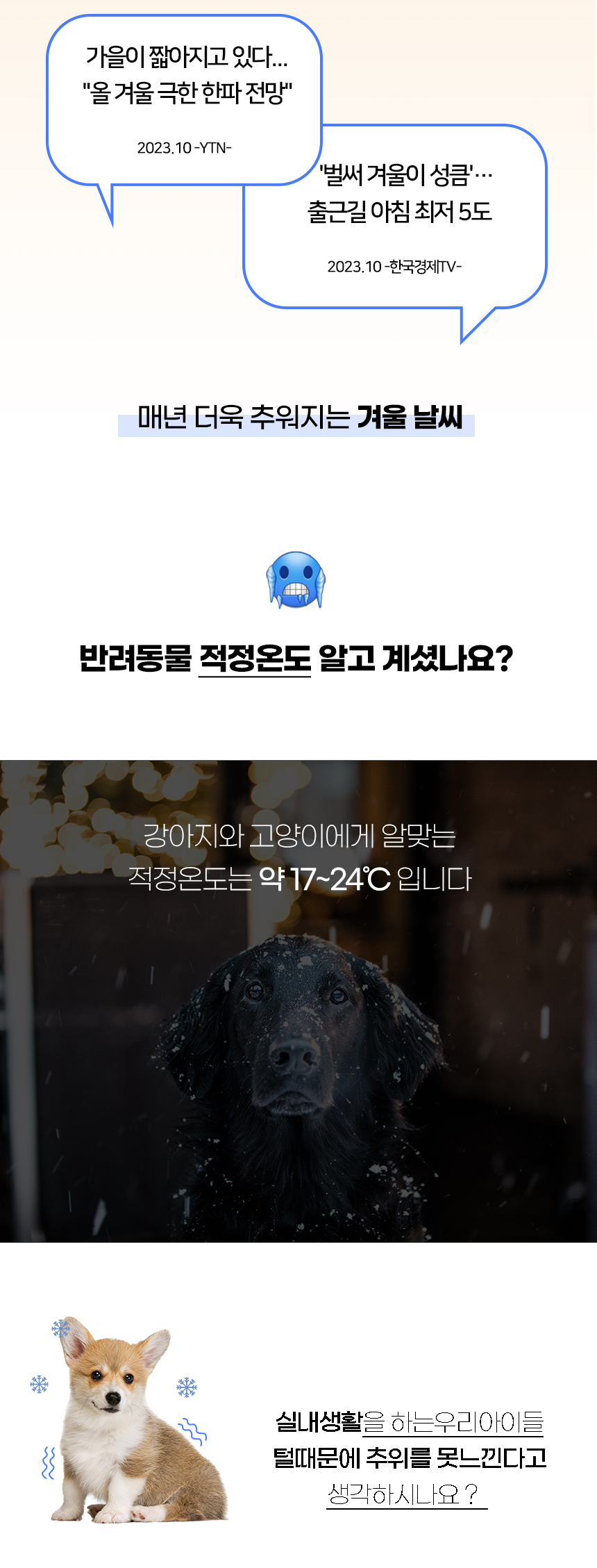 [NEW신상][무료배송] 개과천선 베어 숨숨 쿠션 방석 아이보리 2번째
