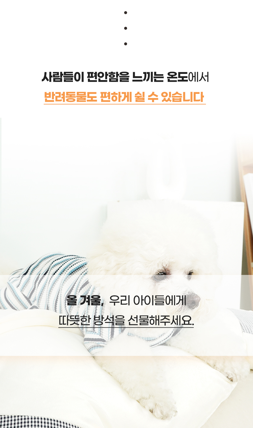 [NEW신상][무료배송] 개과천선 베어 숨숨 쿠션 방석 아이보리 3번째