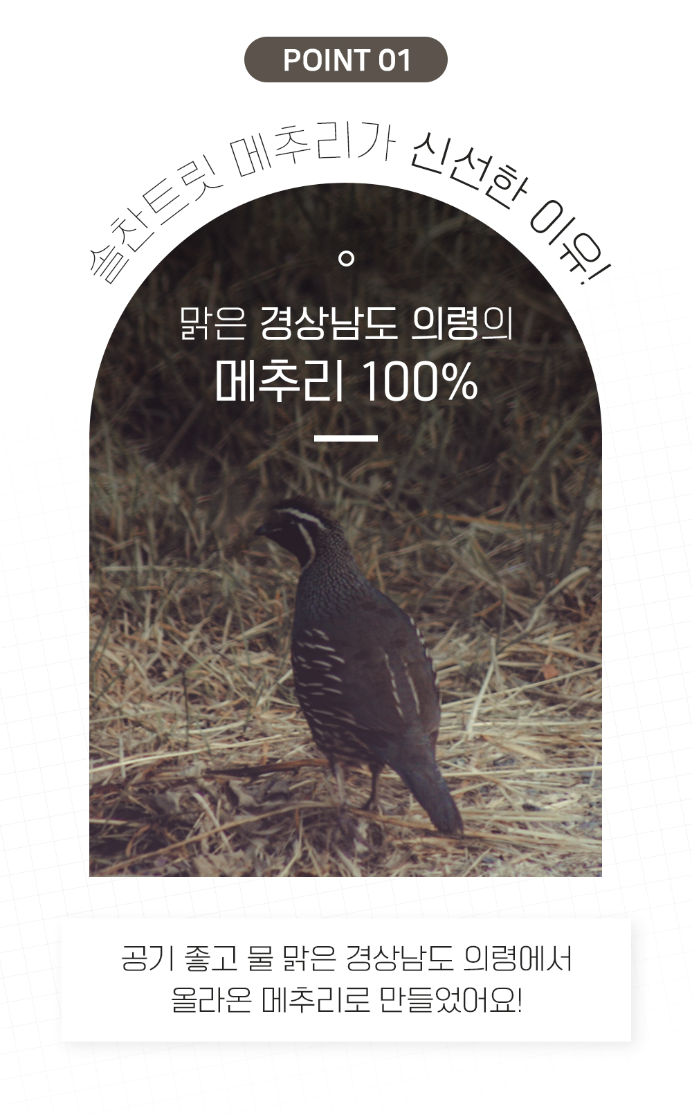[무료배송] 온날 솔찬트릿 동결건조 통메추리 3개입 3번째