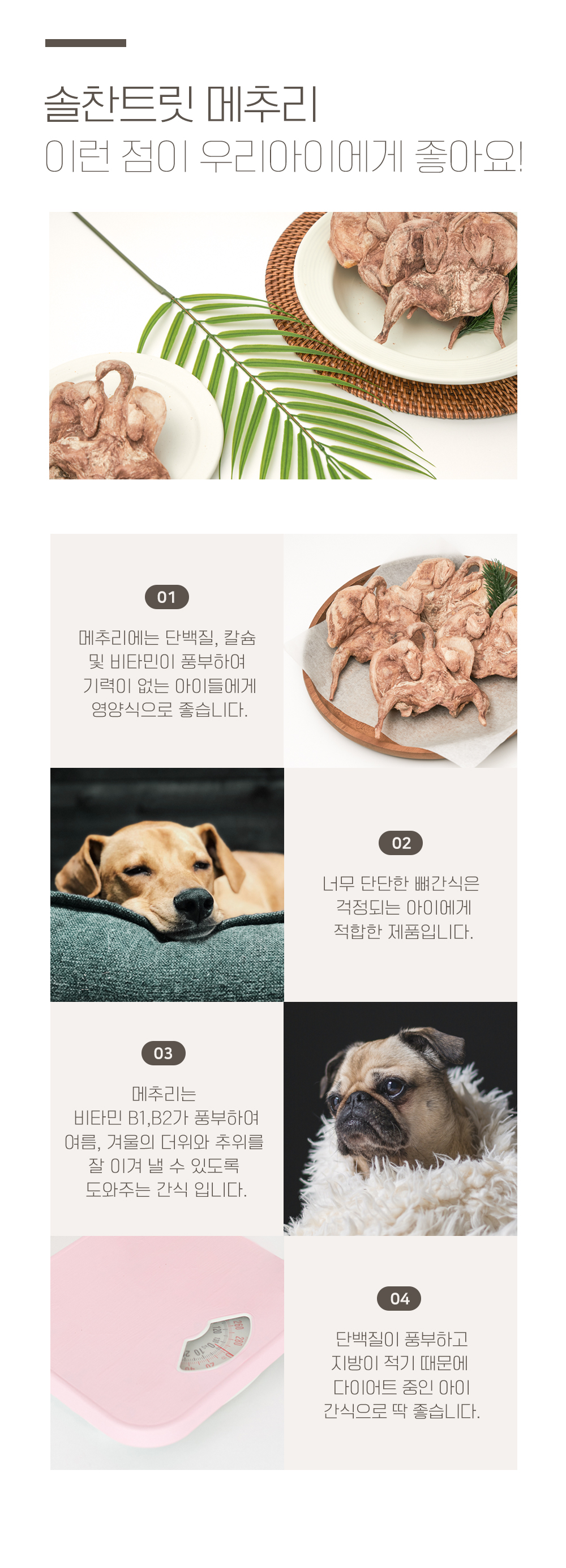 [무료배송] 온날 솔찬트릿 동결건조 통메추리 3개입 10번째