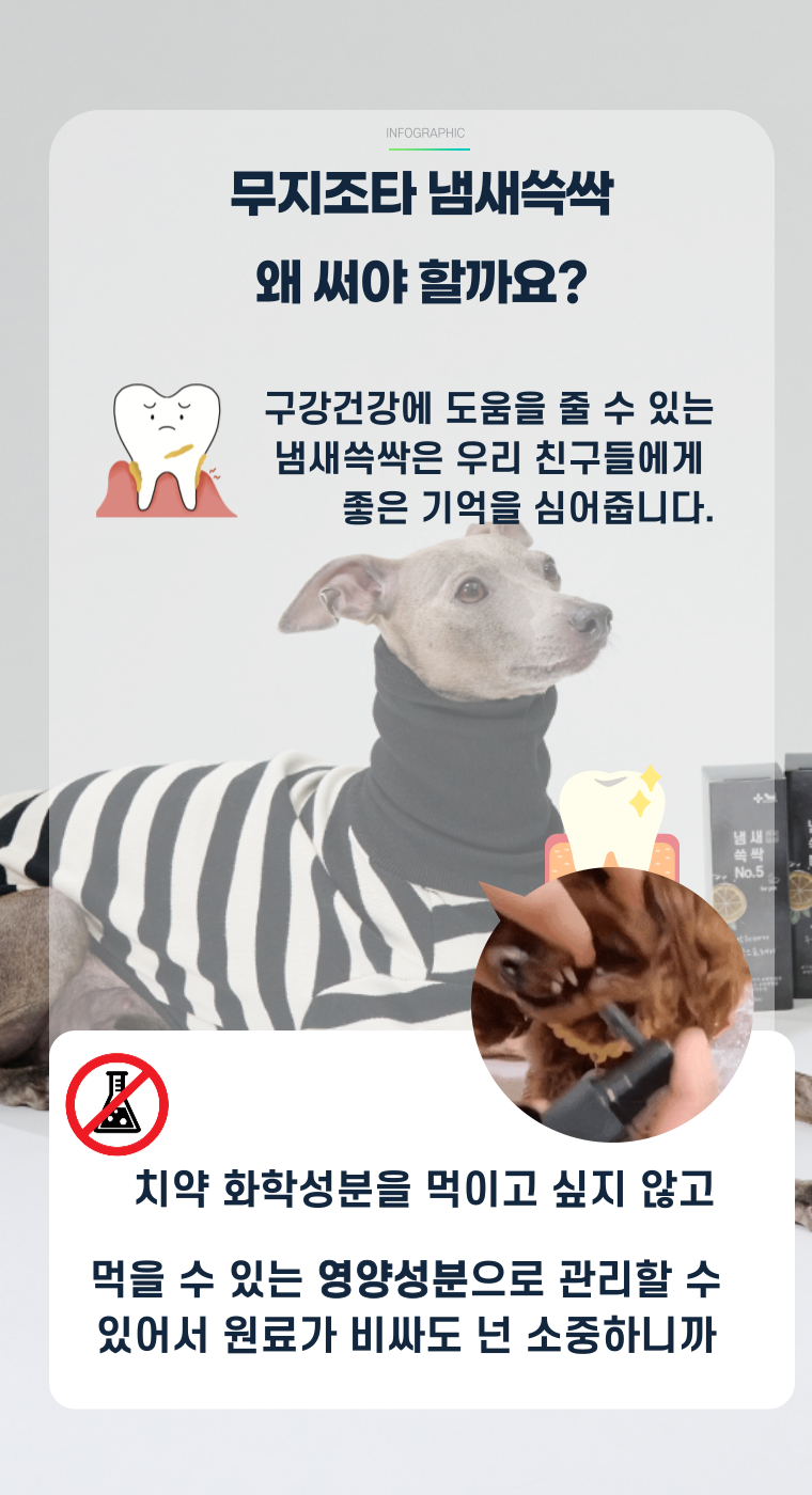 [NEW신상][무료배송] 무지조타 냄새쓱싹 No.5 뿌리는 치약 구강 스프레이 12번째