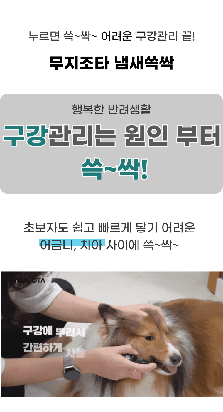 [NEW신상][무료배송] 무지조타 냄새쓱싹 No.5 뿌리는 치약 구강 스프레이 5번째