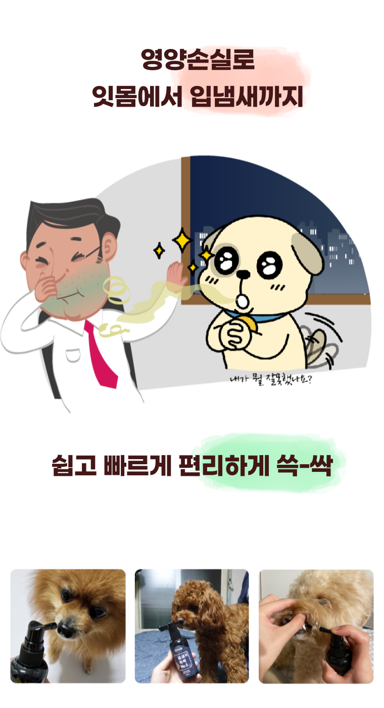 [NEW신상][무료배송] 무지조타 냄새쓱싹 No.5 뿌리는 치약 구강 스프레이 8번째