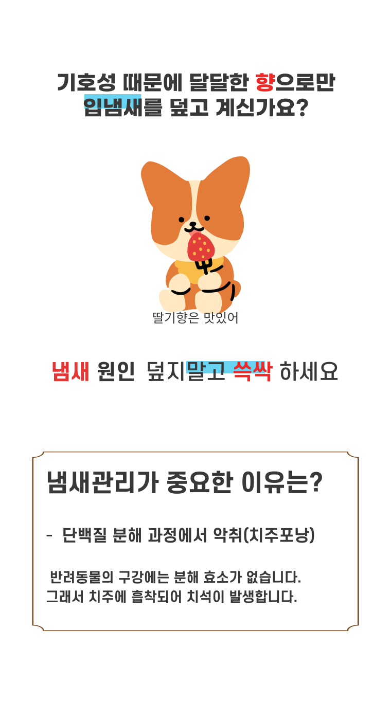 [NEW신상][무료배송] 무지조타 냄새쓱싹 No.5 뿌리는 치약 구강 스프레이 10번째