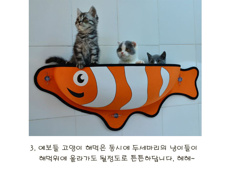 [무료배송] 예보들 물고기 창문 해먹 검정/주황/하늘 6번째