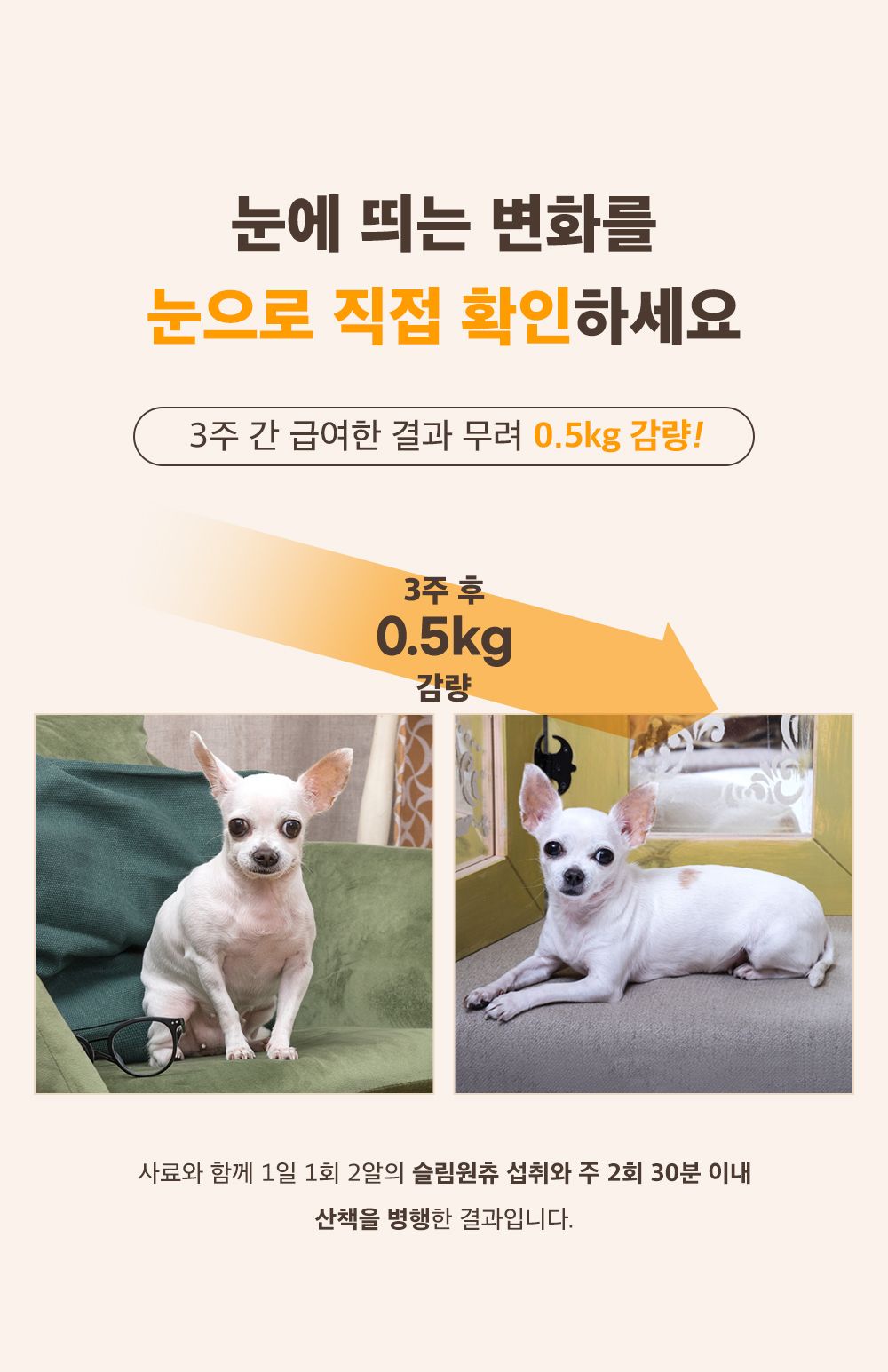 [무료배송] 마이펫닥터 독 슬림원츄 80g 15번째