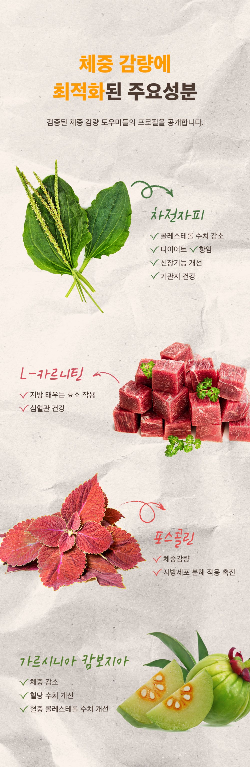 [무료배송] 마이펫닥터 독 슬림원츄 80g 8번째