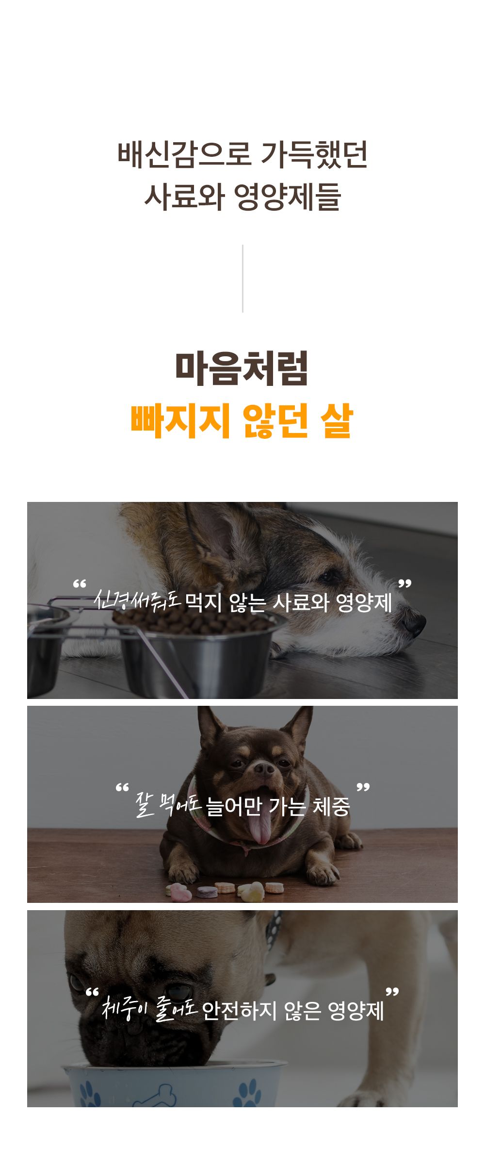 [무료배송] 마이펫닥터 독 슬림원츄 80g 3번째