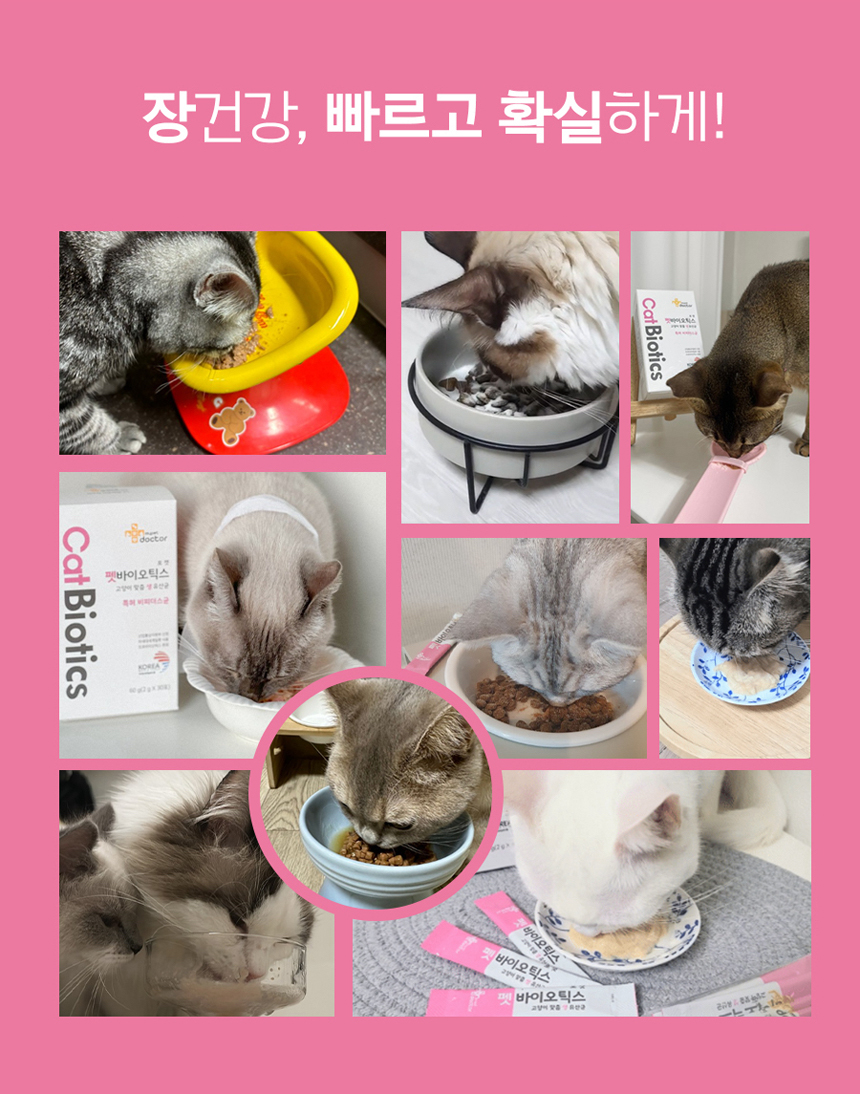 [무료배송] 마이펫닥터 펫바이오틱스 포 캣 60g 3번째