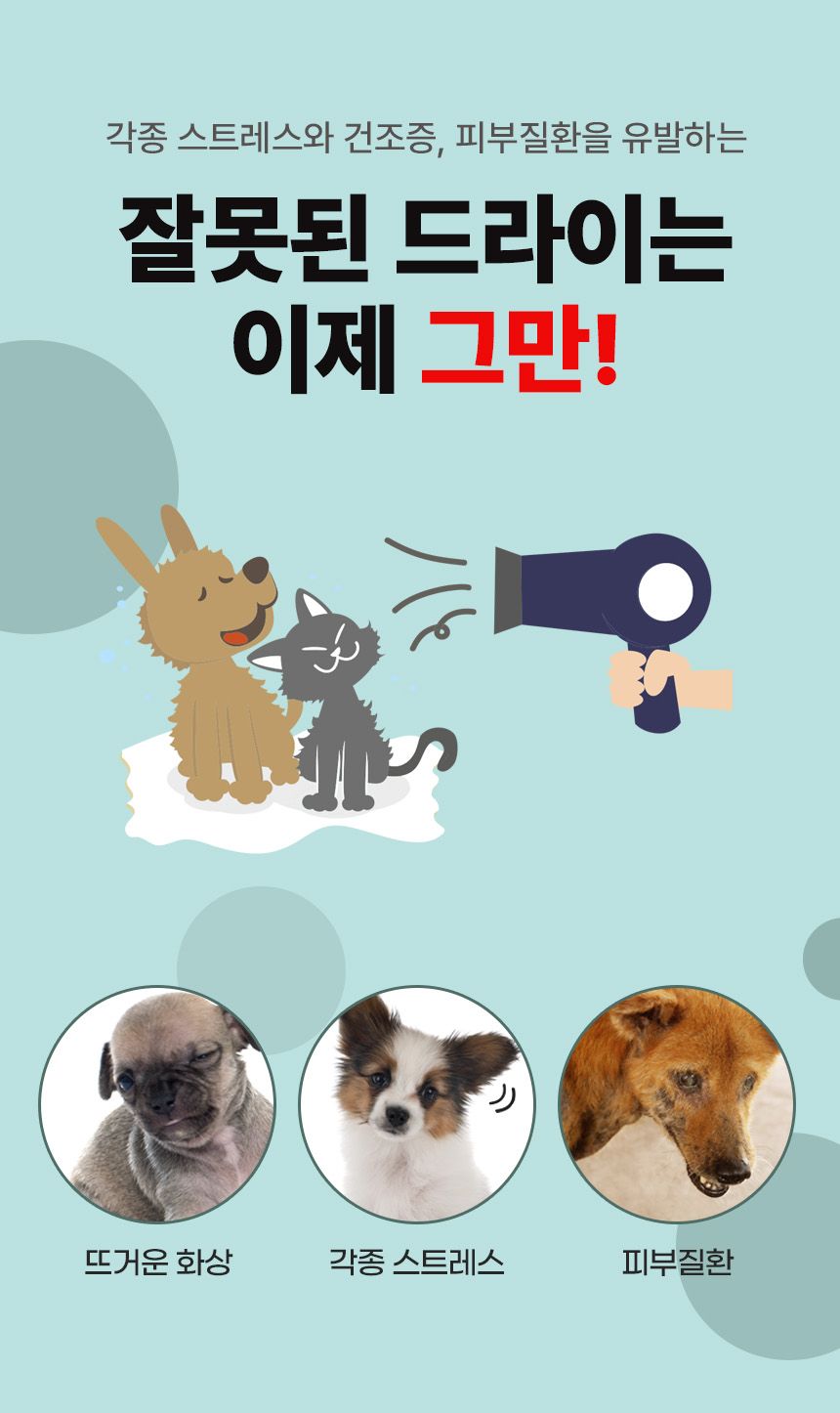 [무료배송] 코코시루 에어탱크 드라이기 (C1200PB) 6번째