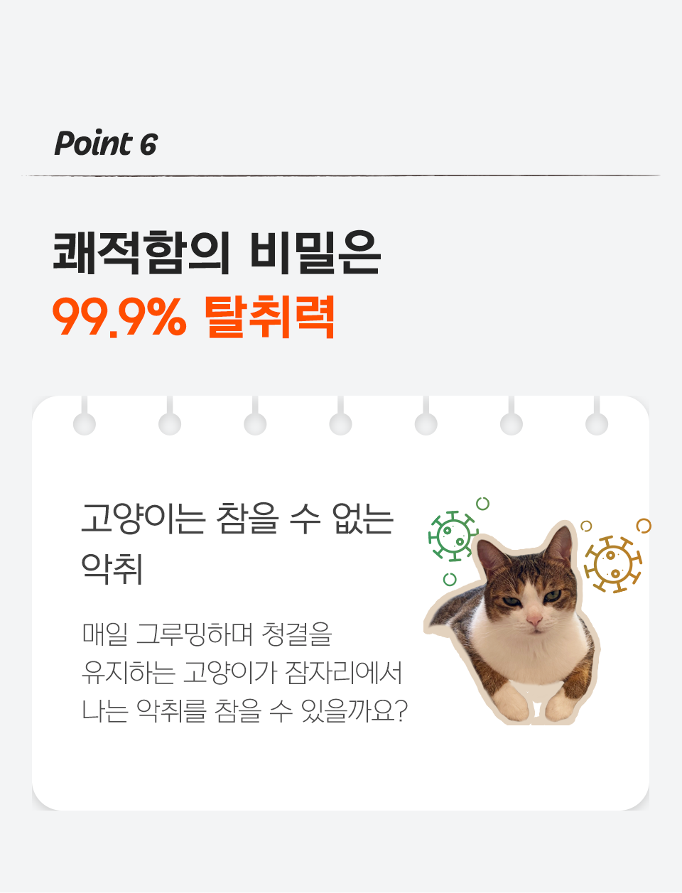 [리뉴얼] 닥터펠리스 포캣네스트 그레이/브라운 + 미니 러빙매트 증정 17번째