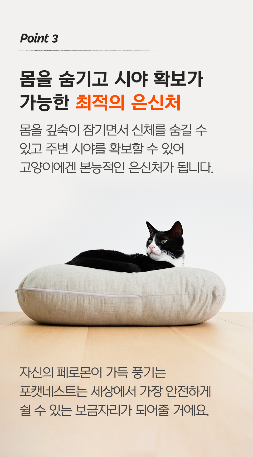 [리뉴얼] 닥터펠리스 포캣네스트 그레이/브라운 + 미니 러빙매트 증정 12번째