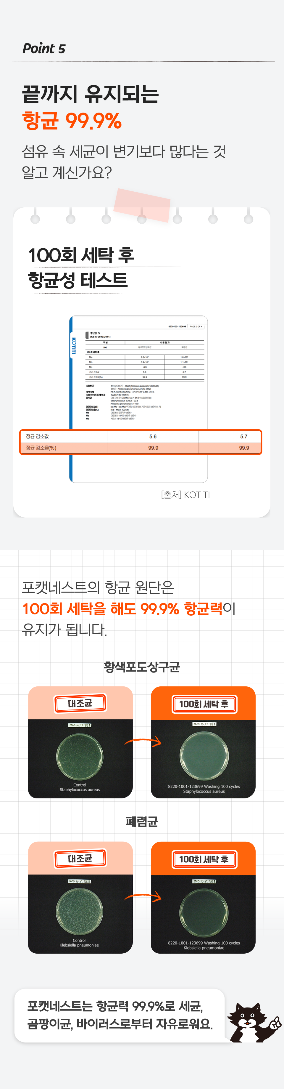 [리뉴얼] 닥터펠리스 포캣네스트 그레이/브라운 + 미니 러빙매트 증정 16번째