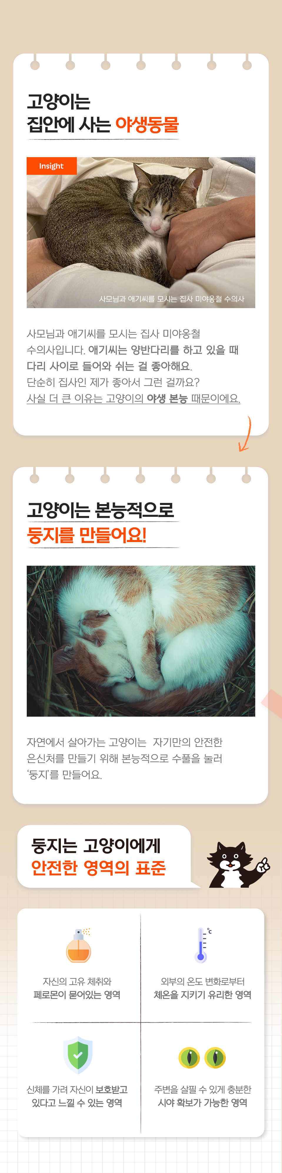 [리뉴얼] 닥터펠리스 포캣네스트 그레이/브라운 + 미니 러빙매트 증정 4번째