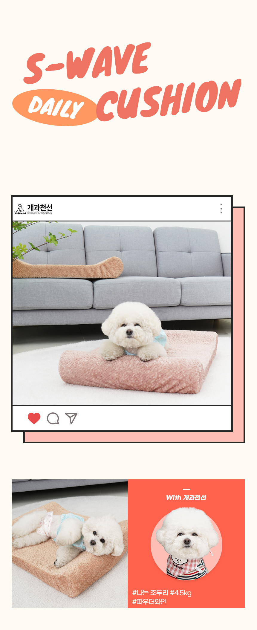 [NEW신상][무료배송] 개과천선 에스 웨이브 방석 (파우더 와인/파우더 브라운) 1번째