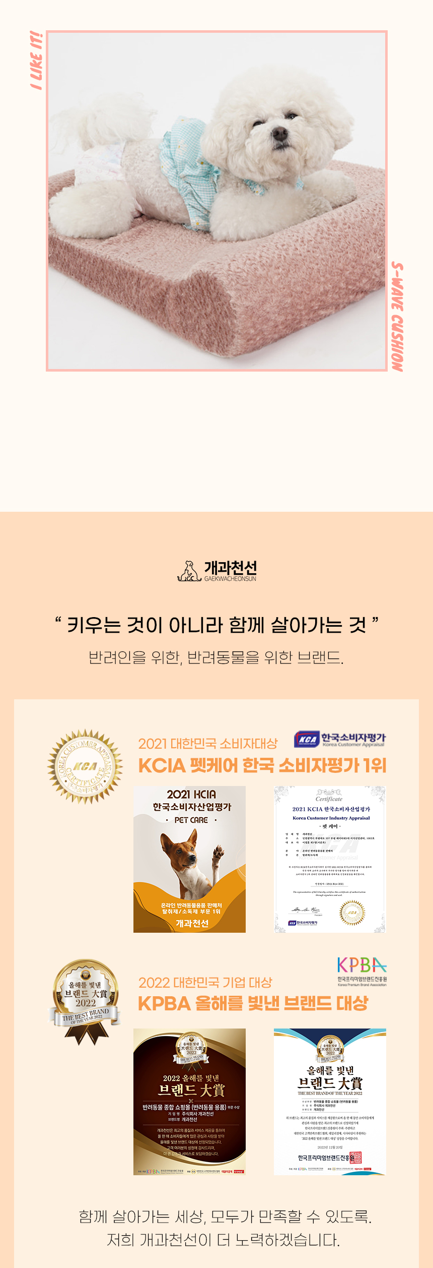 [NEW신상][무료배송] 개과천선 에스 웨이브 방석 (파우더 와인/파우더 브라운) 2번째