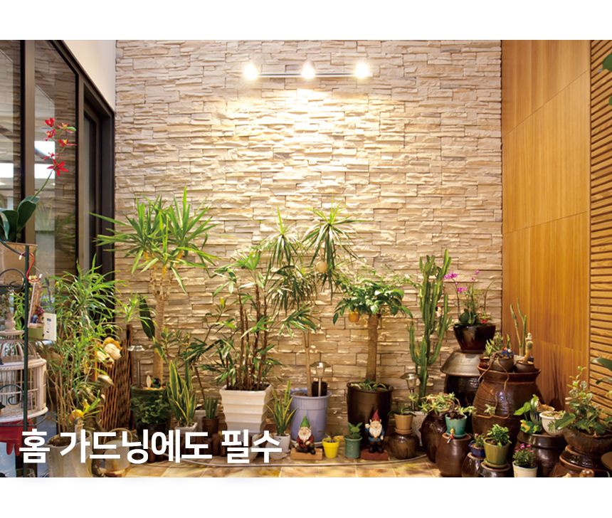 [무료배송] 텐플 나이트버드 스마트전구 14번째