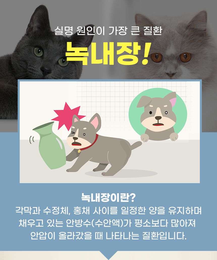[무료배송] 뉴메디션 포 아이 60g 4번째
