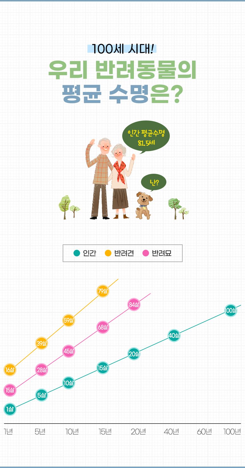 [무료배송] 뉴메디션 포 아이 60g 2번째