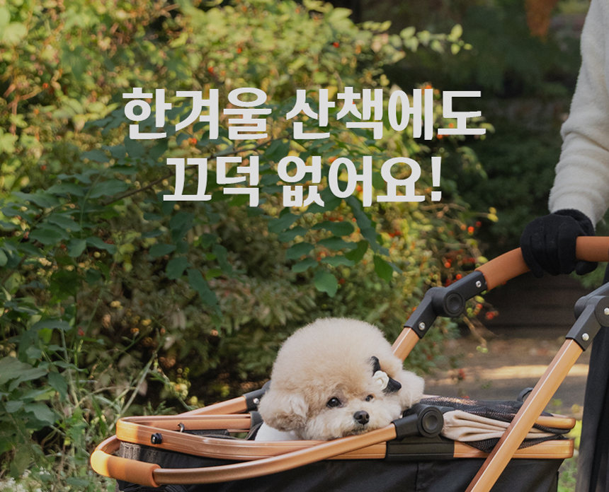 [무료배송] 펫츠앤미 핫팩 온열 매트 강아지 고양이 겨울방석 산책매트 37번째