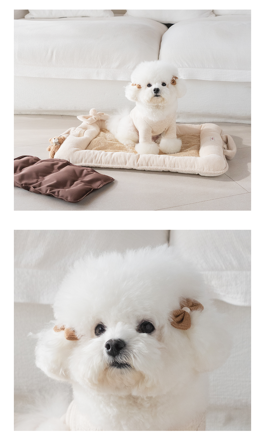 [무료배송] 펫츠앤미 핫팩 온열 매트 강아지 고양이 겨울방석 산책매트 58번째