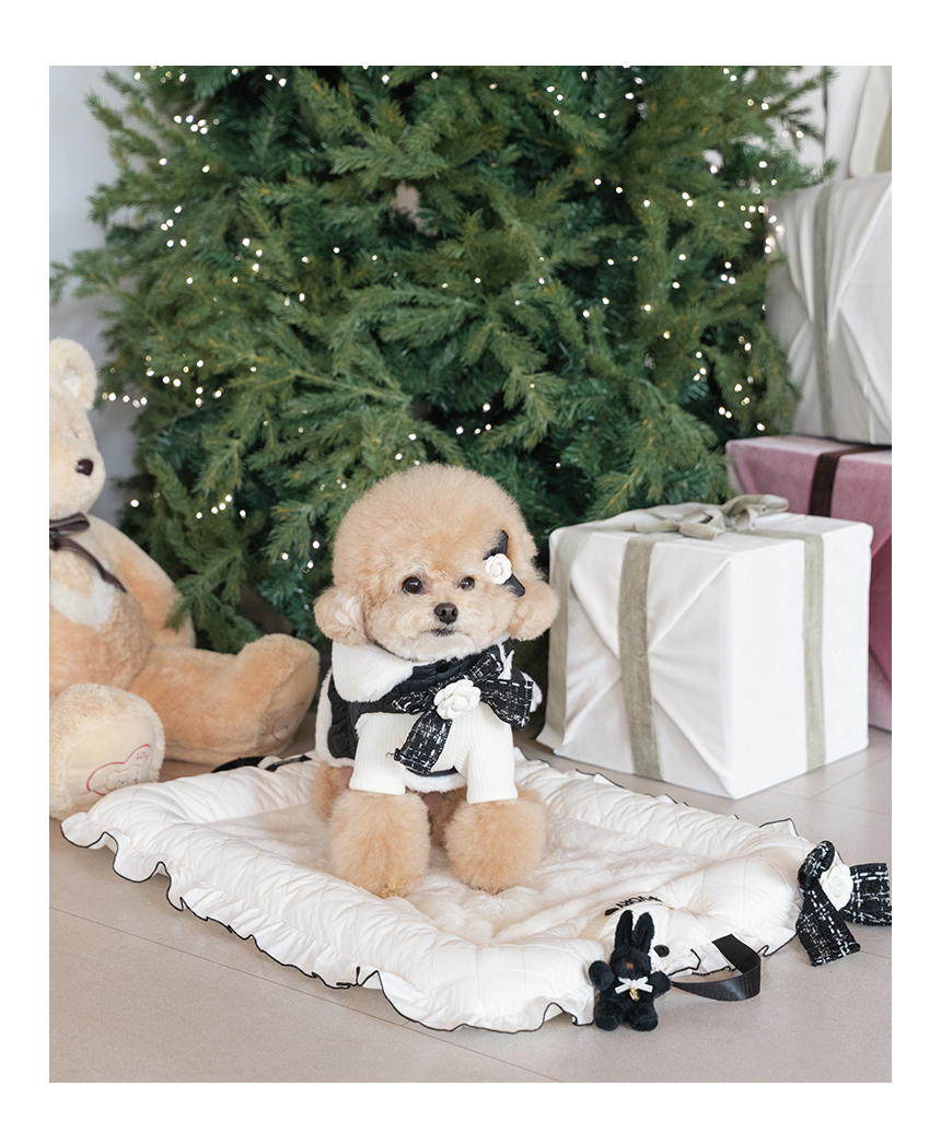 [무료배송] 펫츠앤미 핫팩 온열 매트 강아지 고양이 겨울방석 산책매트 64번째