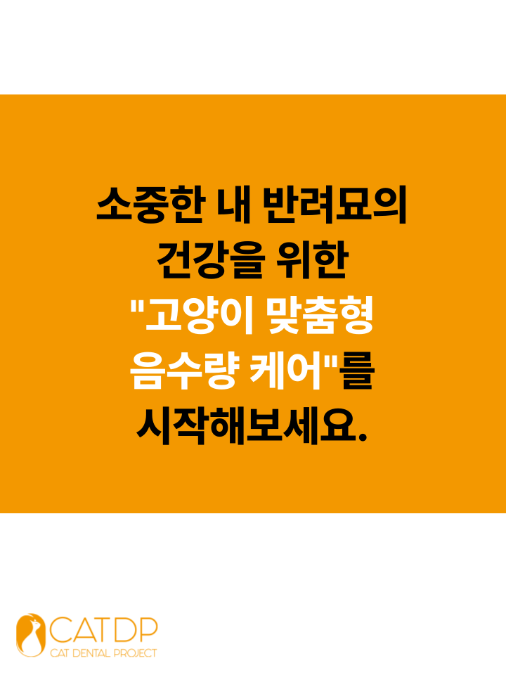 [NEW신상][무료배송] 캣디피 프레시워터 uv정수기 고양이 전용 자동급수기 정수기 6번째