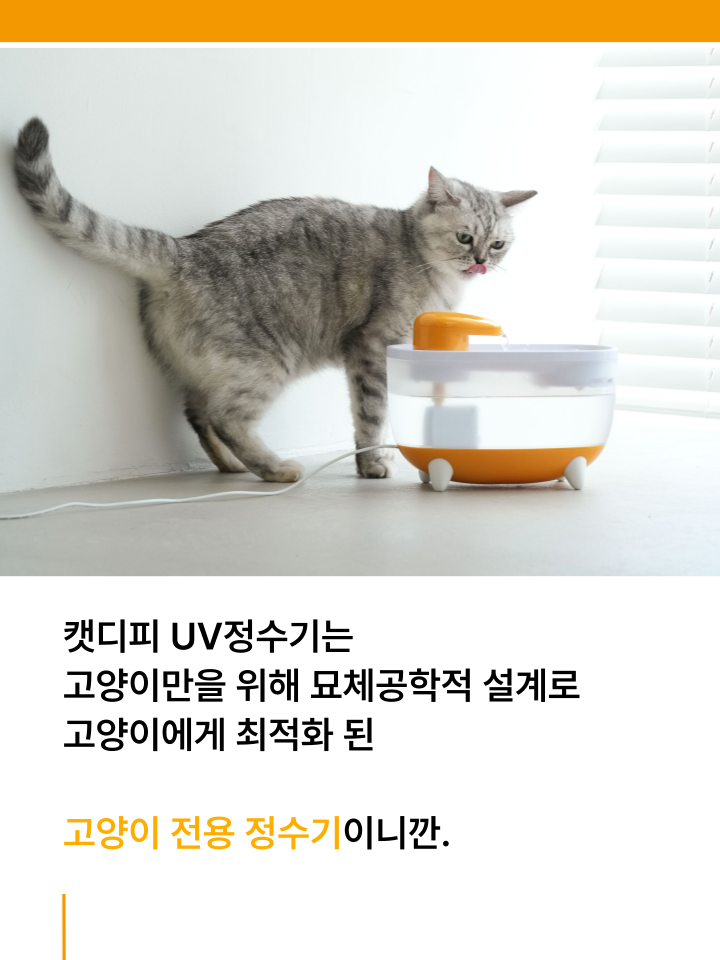 [NEW신상][무료배송] 캣디피 프레시워터 uv정수기 고양이 전용 자동급수기 정수기 53번째