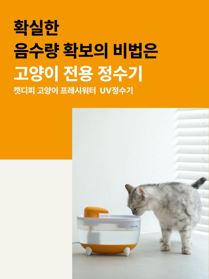 [NEW신상][무료배송] 캣디피 프레시워터 uv정수기 고양이 전용 자동급수기 정수기 55번째