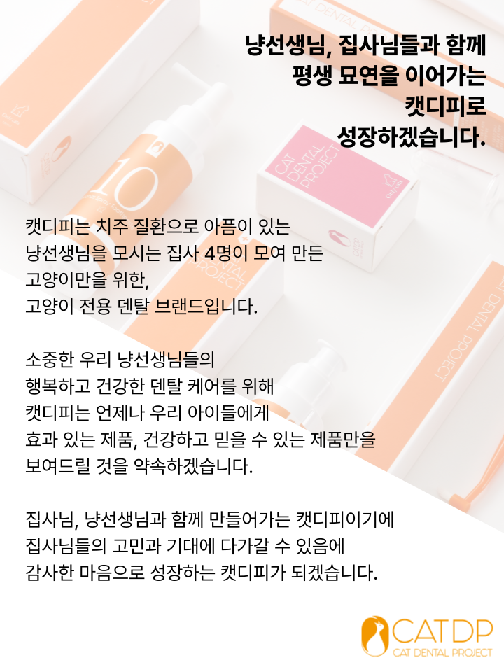 [NEW신상][무료배송] 캣디피 프레시워터 uv정수기 고양이 전용 자동급수기 정수기 61번째