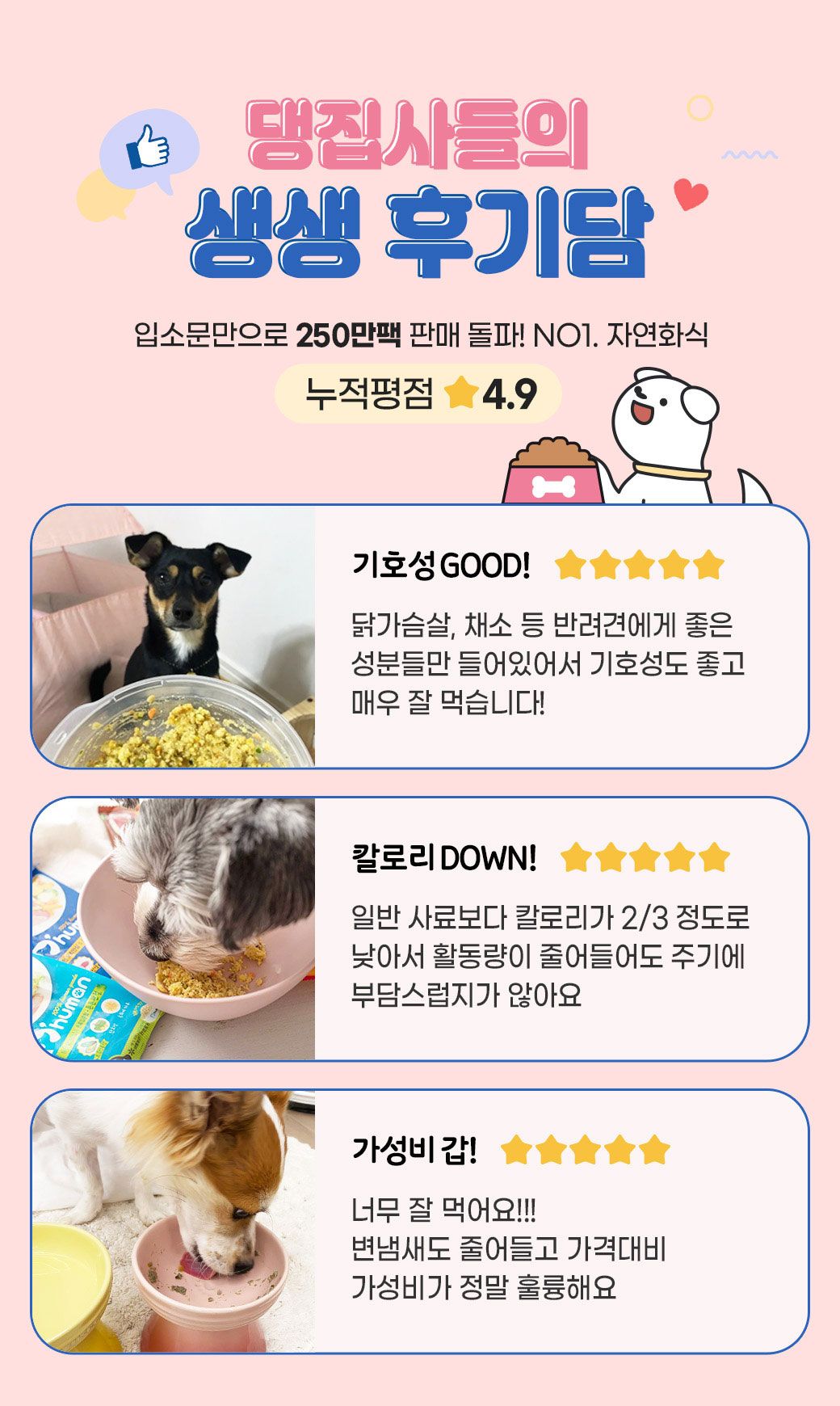 [무료배송] 듀먼 독 자연화식 닭가슴살&채소 오리지널 50g*15+1팩 1번째