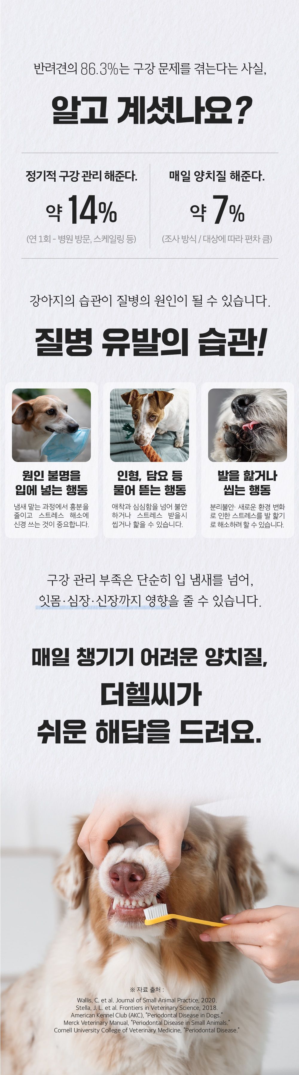 [NEW신상]더헬씨 파우팩트 츄 가수분해 덴탈껌 오리고기맛 120g 3번째