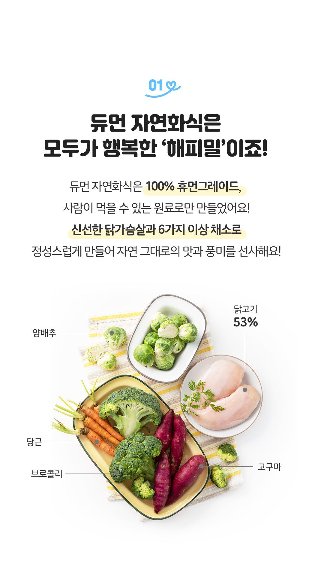 [무료배송][23팩] 듀먼 독 자연화식 한달의행복 패키지 100g 9번째