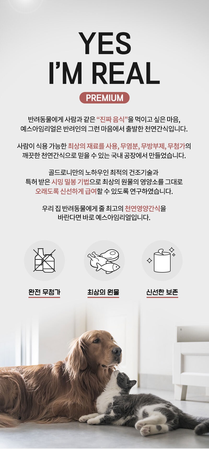 [무료배송] [추가증정] 골드로니 예스아임리얼 오래먹는 오리날개 160g + 순살스틱 2p 증정 2번째