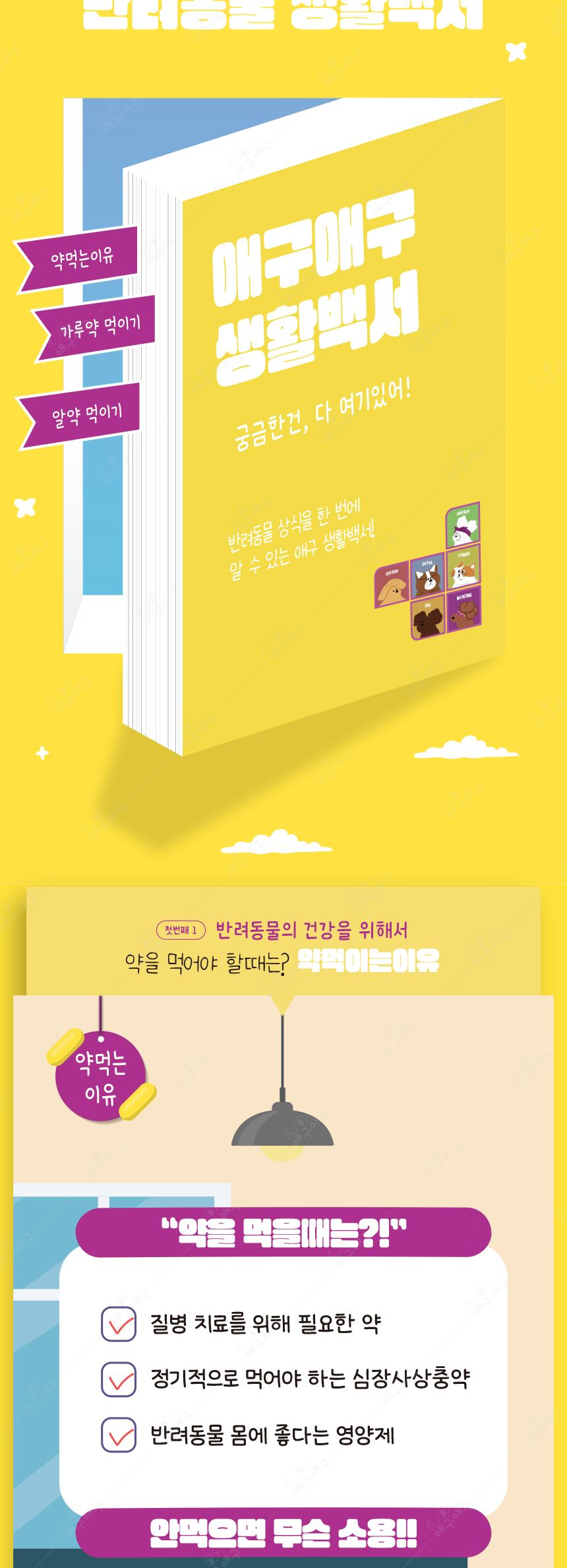 [무료배송] 애구애구 대빵 알약 필건 3번째