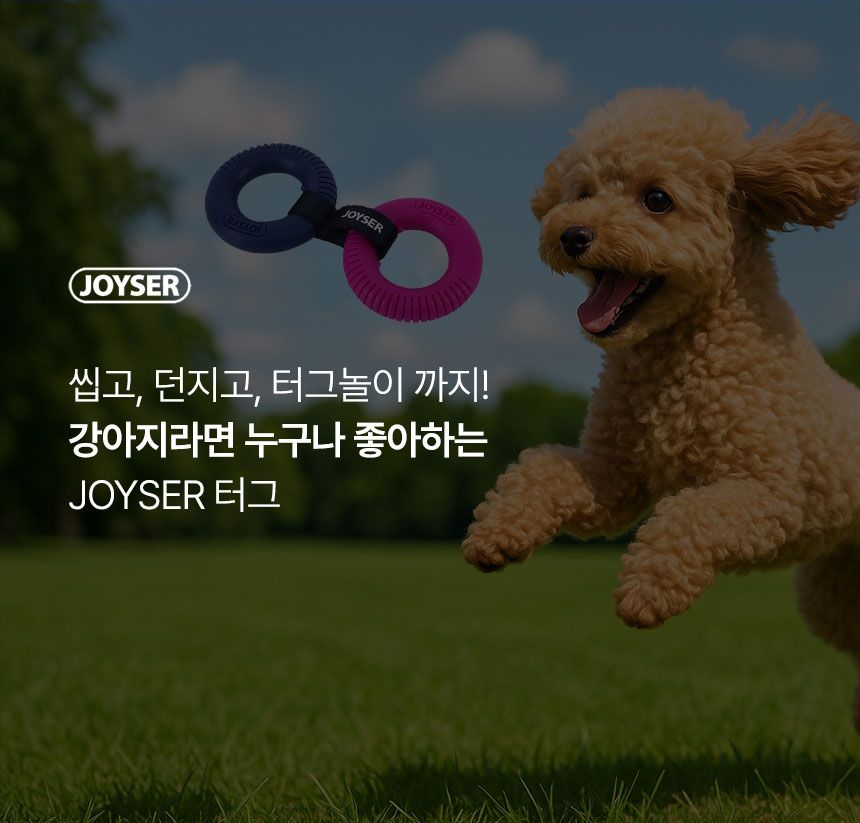 [체험단] [무료배송] 조이서 독 터그링 코끼리 6번째