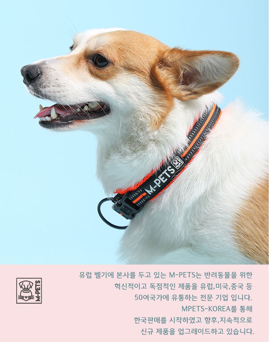 [무료배송] 엠펫츠 독 메쉬 통풍 목줄 S-L 6번째