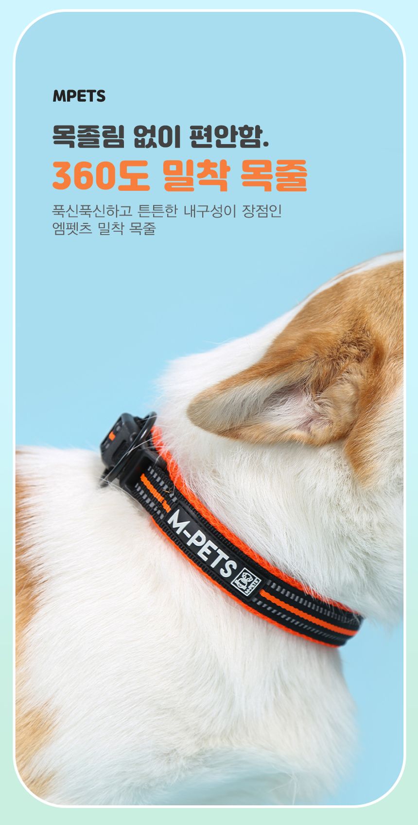[무료배송] 엠펫츠 독 메쉬 통풍 목줄 S-L 2번째