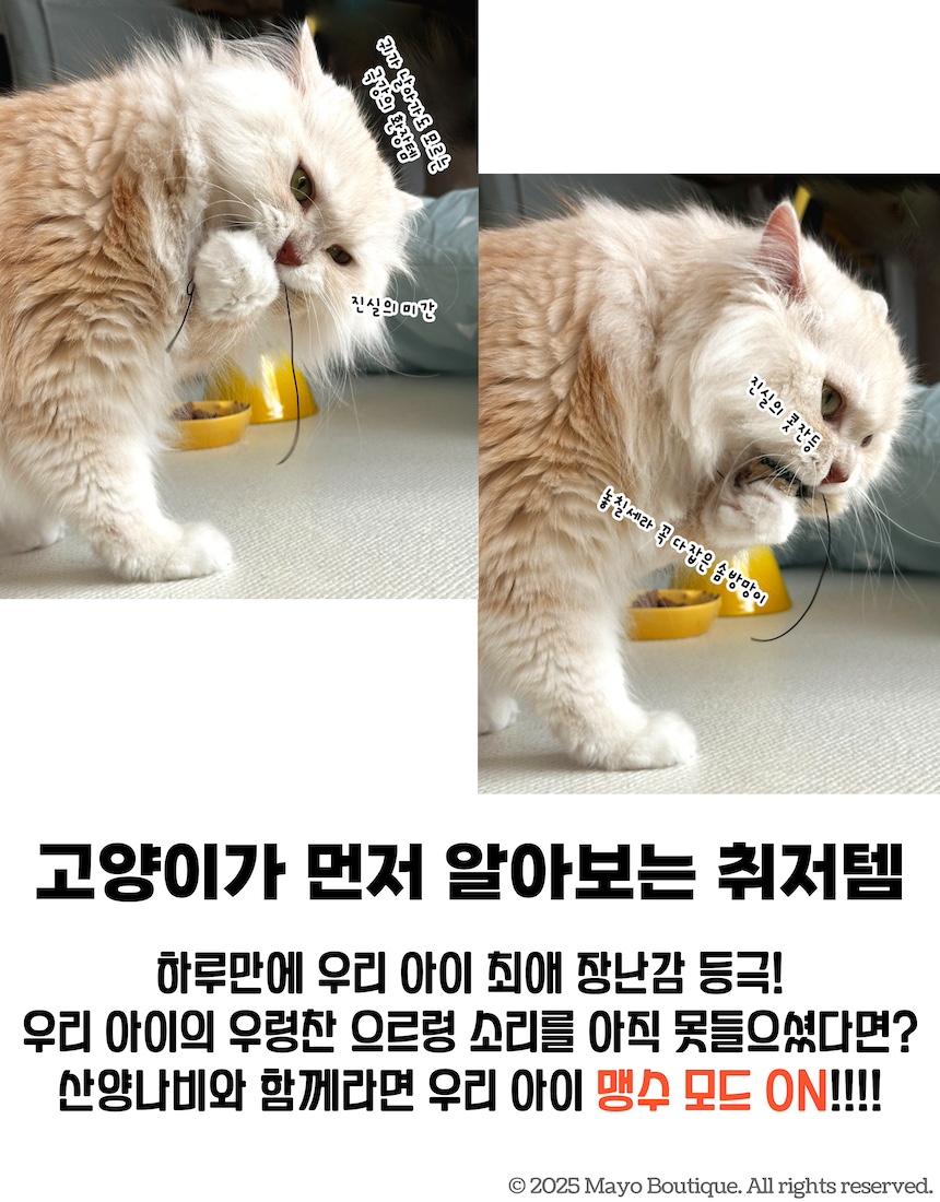 [NEW신상][무료배송] 마요부티크 진짜 산양모로 만든 산양나비 장난감 2번째