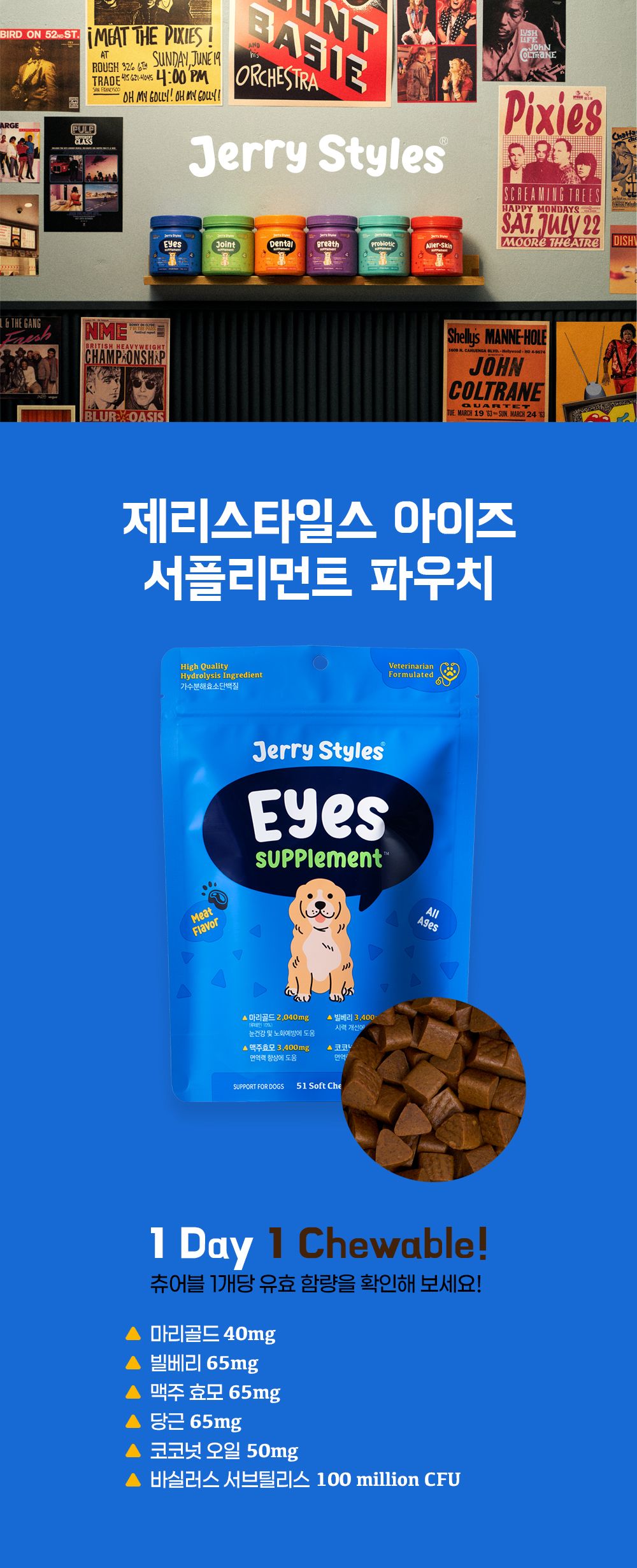 제리스타일스 독 눈 영양제 153g 4번째