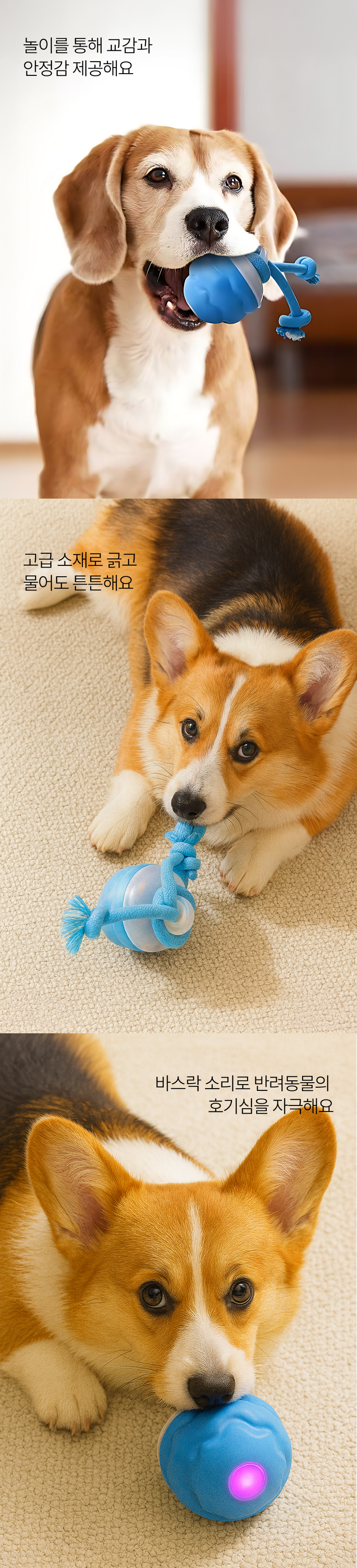 [NEW신상][무료배송] 케리빙 자동장난감 볼 2번째