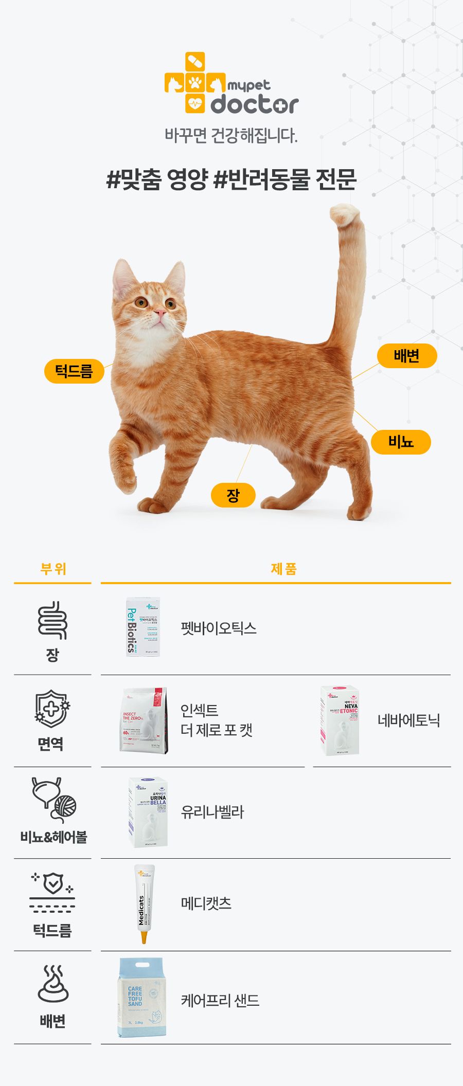 마이펫닥터 캣 데일리 메가스틱 420g 2번째