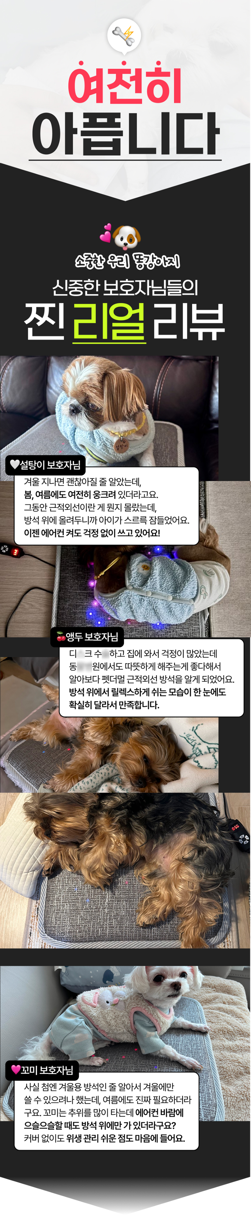 [NEW신상][무료배송] 펫더멀 4파장 근적외선 슬개골 케어 펫방석 2번째
