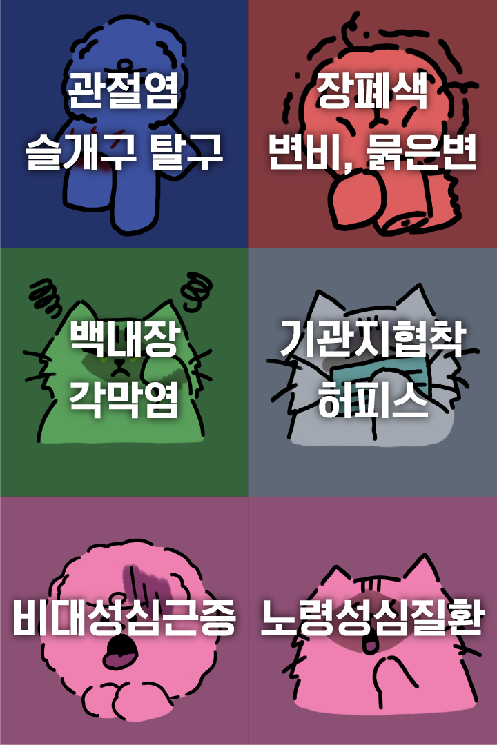 [NEW신상][무료배송] 닥터리 프리미엄 관절건강 영양제 30캡슐 12번째