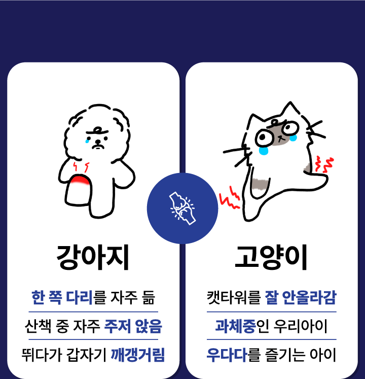 [NEW신상][무료배송] 닥터리 프리미엄 관절건강 영양제 30캡슐 3번째
