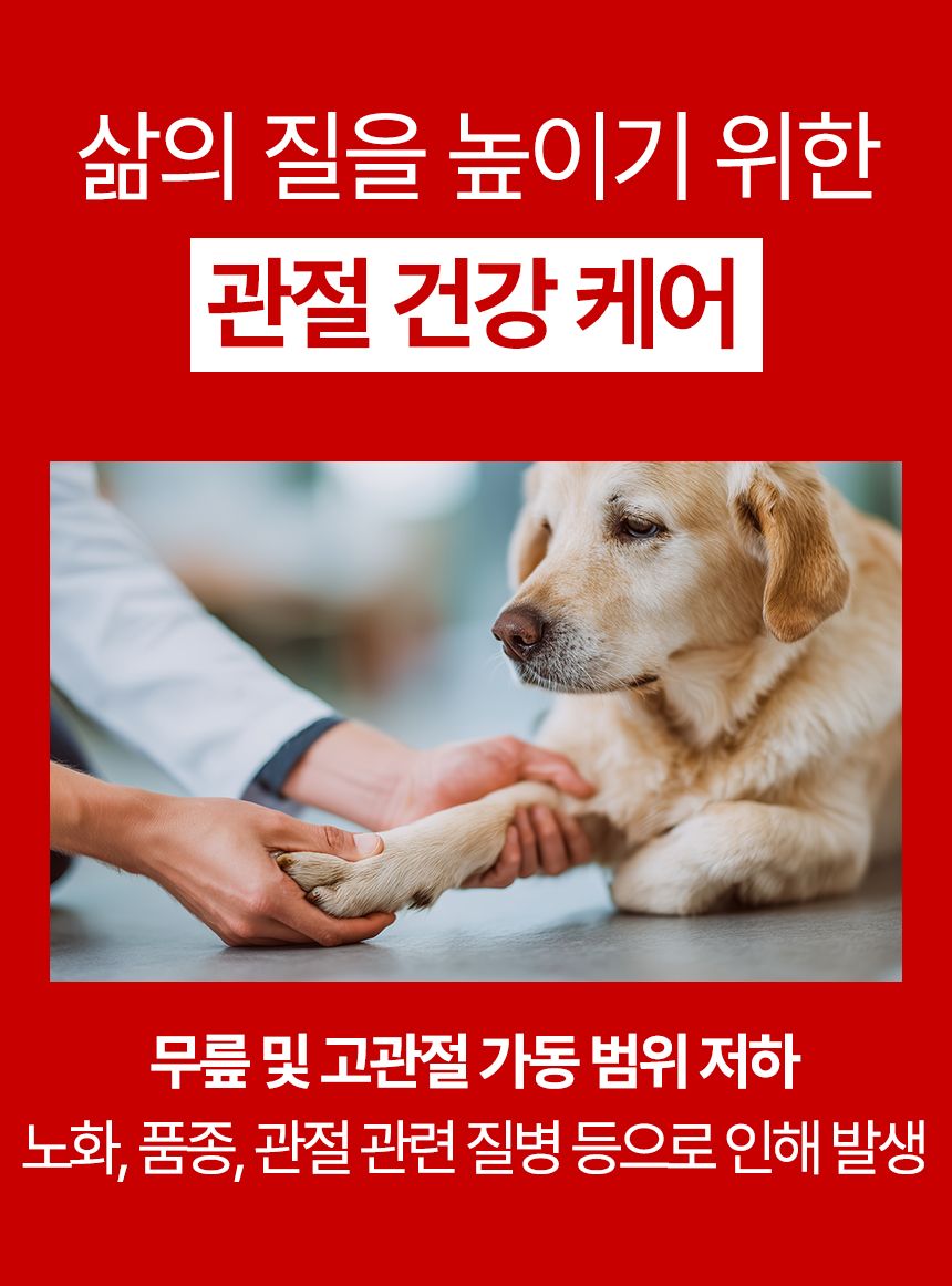 [브랜드전]펫생각 임상완료 조인트 프로 관절 칼슘 슬개골 연골 영양제 60정 5번째