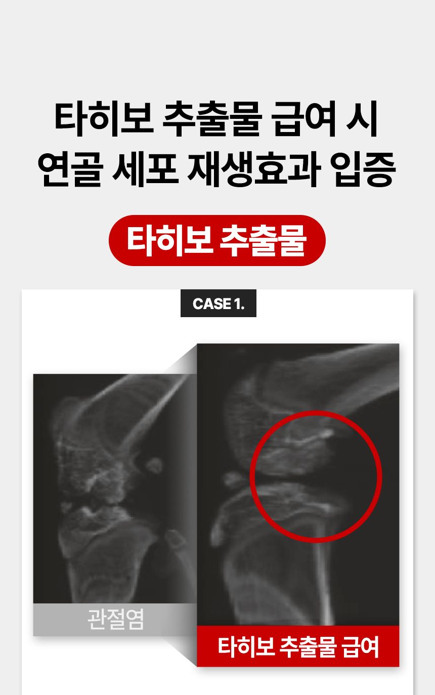 [브랜드전]펫생각 임상완료 조인트 프로 관절 칼슘 슬개골 연골 영양제 60정 27번째