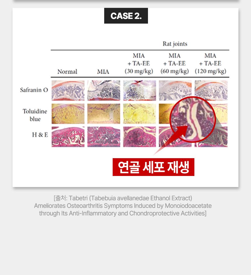[브랜드전]펫생각 임상완료 조인트 프로 관절 칼슘 슬개골 연골 영양제 60정 28번째