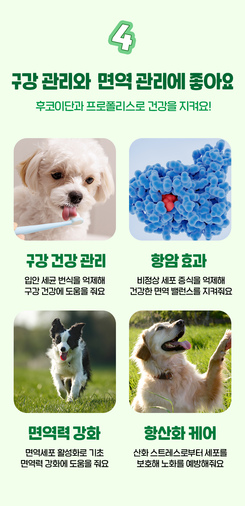 [무료배송] 슈퍼포우 굿보이트릿 후코이단 200g 14번째